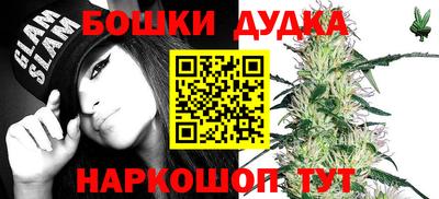индика Мариинск