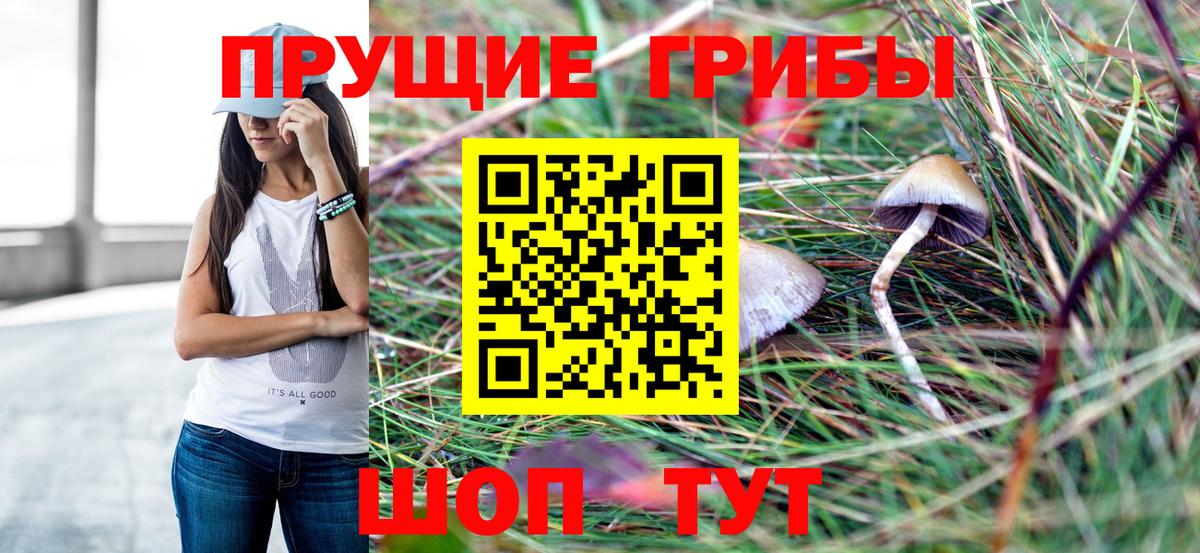 Галлюциногенные грибы Psilocybe Чистополь
