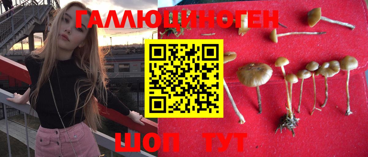 Амфетамин   Альфа ПВП СК кристаллы  MDMA  Чистополь  ГАШИШ  Кокаин  Бошки Шишки  Вход с VPN  МЕФ кристаллы 