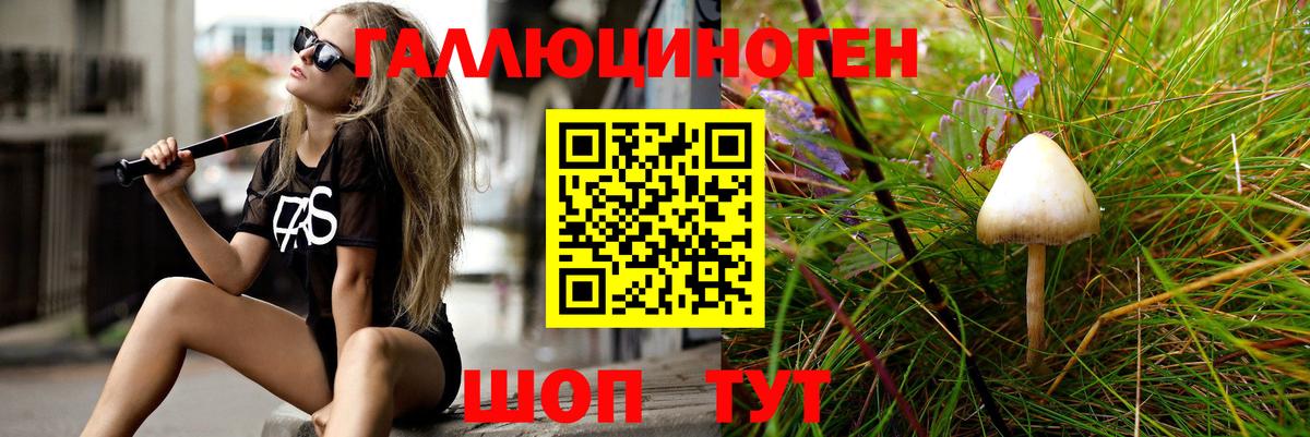 Чистополь  Псилоцибиновые грибы Psilocybe  Вход с VPN  Галлюциногенные грибы Cubensis 